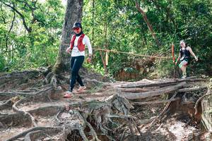 BIB: 
                            <button type="button" onclick="openModal(27720216)" class="btn btn-primary btn-sm float-right btn-popup" data-toggle="modal" data-target=".modal-high-quality">
                        <i class="fas fa-shopping-cart"></i> Add to Cart
                    </button>
                                            <button type="button" onclick="isThisMe(27720216, true)" class="btn btn-success btn-sm float-right btn-popup btn-isme hidden" data-toggle="tooltip" data-placement="bottom" title="นี่คือรูปของคุณใช่ไหม คลิกที่นี่เพื่อเอาเข้าอัลบั้ม">
                        <i class="fas fa-plus"></i> Add to album
                    </button>
                    <button type="button" onclick="isThisMe(27720216, false)" class="btn btn-warning btn-sm float-right btn-popup btn-isnotme hidden">
                        <i class="fas fa-ban"></i> Remove from album
                    </button>